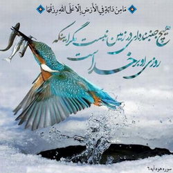 سوره عنکبوت آیه 60