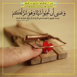 سوره بقره آیه 216