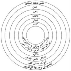 عالم کبیر