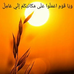 سوره هود آیه 93 