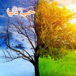 سوره ابراهیم آیه 3 