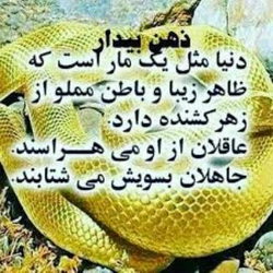 سوره روم آیه 7